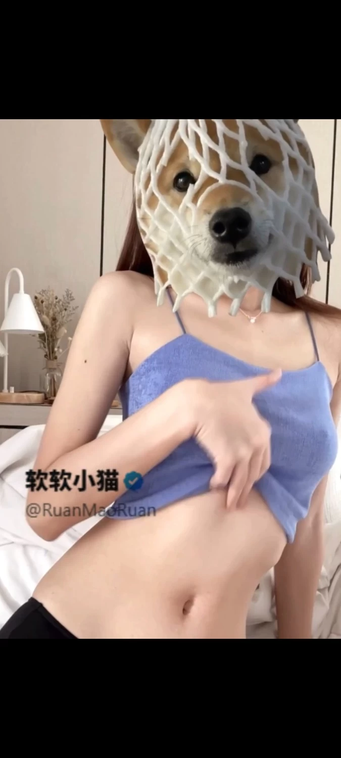 45005.jpg
